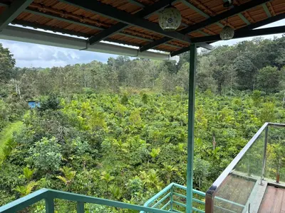 a room with a view of a forest at Estate stay near Dubare elephant camp, friendly for remote workers in Siddapur