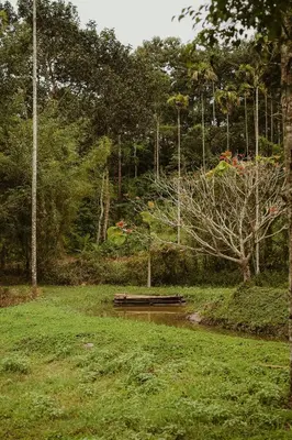 a park with a bridge in the middle of a field at Greenex farm Resort in Vythiri