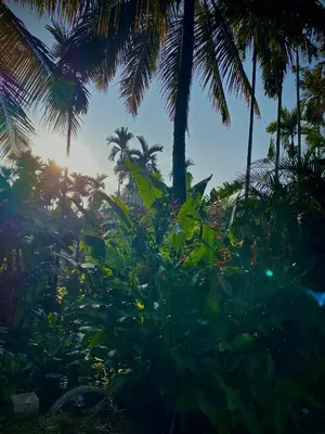 a group of palm trees and plants with the sun in the background at Nirvana Private Villa in Kushālnagar