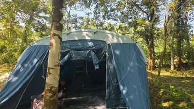 a blue tent in the woods next to a tree at The Kadu in Tāzhekkod