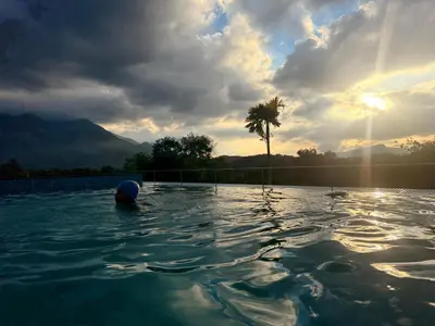 a person in a swimming pool with a palm tree at Idam home stay in Wayanad