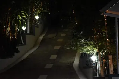 an empty street at night with palm trees and lights at South point in Ammatti