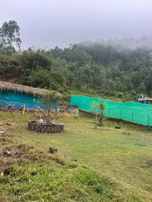 a field with two trees and a green fence at Kanthalloor puregolds in Kanthalloor