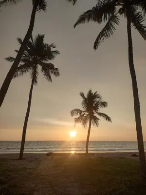 two palm trees on the beach at sunset at Katadi beach coral cottage in Thanniyam