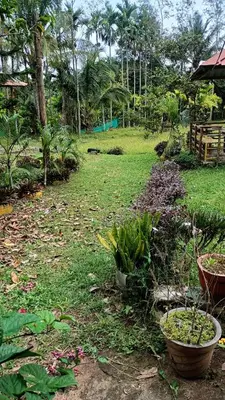 a garden with flowers and plants in a yard at Manna Homestay coorg in Kushālnagar