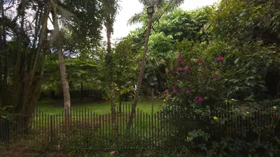 a fence in a garden with trees and flowers at Rainbow Homestay Wayanad in Kalpetta