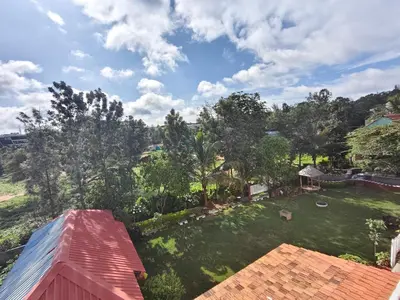 an aerial view of a yard with trees at The Palmyrah Tenements in Mysore