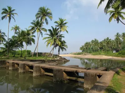 a bridge over a body of water with palm trees at legacy beach stay kannur in Kannur