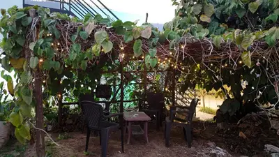 a pergola with chairs and a table and vines at Couples Nest in Kottakamboor