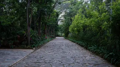 a cobblestone path in a park with trees at Trisara Boutique Stay in Mysore