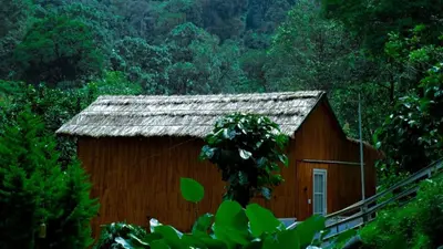 a small wooden cabin in the middle of a forest at Zeno Village Resort 900 Kandi Wayanad in Wayanad