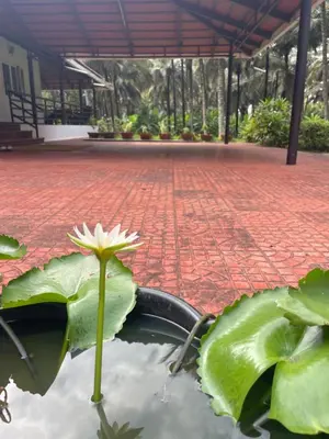 a lotus flower in a pond in a garden at Farm Retreat by TastyTek in Pollāchi