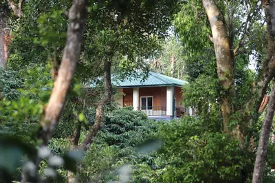 a house in the middle of a forest at Coffee Courtyard - Boutique Estate Retreat, Coorg in Kurchi