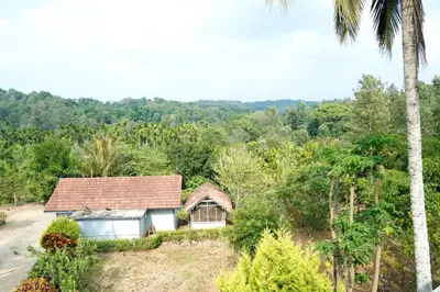 a house on a hill with a palm tree at Nvoyages Plantataion Stay Coorg in Madikeri