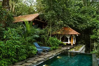 a pool in a garden with a chair and a house at Avana Holiday Experiences,Wayanad in Kalpetta