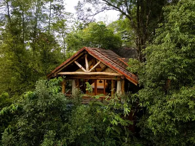 a log cabin in the middle of a forest at Avana Holiday Experiences,Wayanad in Kalpetta