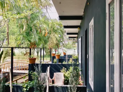 a porch with potted plants and a green wall at Bamboo villa in Cochin