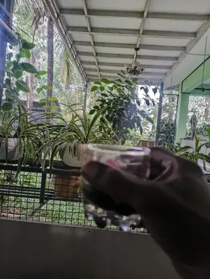 a close up of a hand in a room with plants at NEST nature homestay in Kalpetta