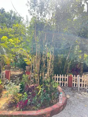 a garden with a tree in the middle of a fence at The Trio in Kalpetta