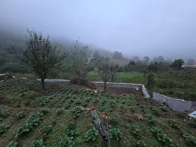 a field filled with lots of green plants at The Brook by Turquoise Villas in Kodaikānāl