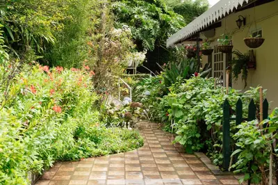 a garden path leading to a house with flowers at SaffronStays Oakridge Cottage in Coonoor