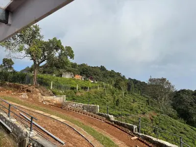 a view of a hill with a tree on it at Burnside Cottage in Kotagiri