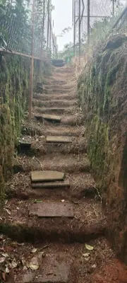 a set of stone steps on the side of a hill at Bison valley in Ooty