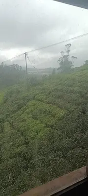 an aerial view of a green field with a power line at Bison valley in Ooty