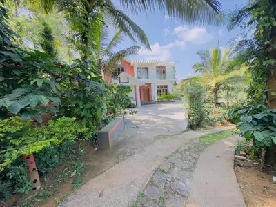 a house with a palm tree next to a street at WhiteLilys Pool Retreat Kaggodlu Madikeri Coorg in Madikeri