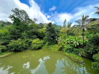 a river in the middle of a forest at The 77 Estate Stay in Suntikoppa