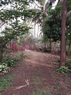 a dirt road in the middle of a forest with trees at Nalee Farm Stay in Hunsūr