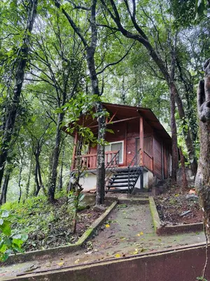 a small red cabin in the middle of a forest at sireesha estate cottage stay in Madikeri
