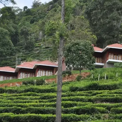Hanging Huts Resorts