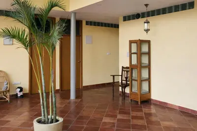 a palm tree in the middle of a lobby at Rooms By DeVerveil in Mysore