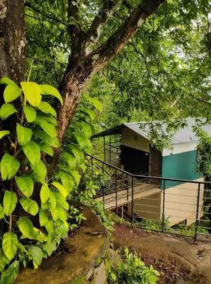 a tree with green leaves next to a building at Ponkunnu Farmstay and Resorts - Emerald - The Tree House - Ground Floor in Bālūssheri