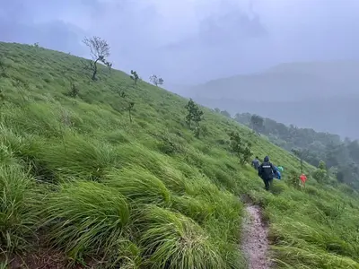 a couple of people walking down a grassy hill at Ponkunnu Farmstay and Resorts - Emerald - The Tree House - Ground Floor in Bālūssheri