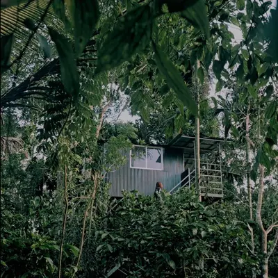 a person standing in front of a tree house at Nellar Dream Resort in Meppādi