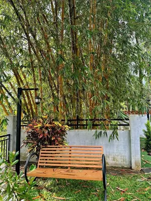 a wooden bench sitting in front of a tree at Bougainvilla in Kozhikode