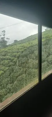 a view of a green field from a window at Bison valley in Ooty