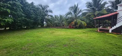 a large grass field next to a house with palm trees at LBS Farms in Coimbatore