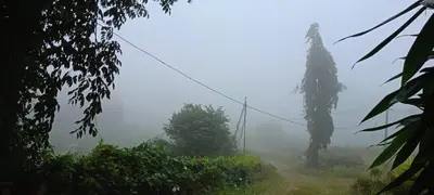 a foggy field with trees and trees on a hill at Valley De Hills Villa Room in Attappādi