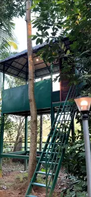 a green tree house with a ladder next to a tree at Moksha Farm Stay in Edappāl