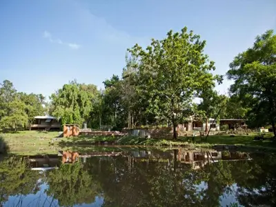 a view of a pond with trees and houses at Jungle Hut Resort in Masinagudi