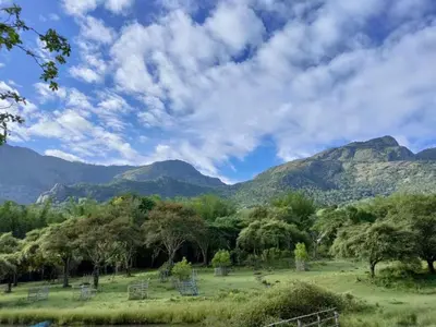 a field with trees and mountains in the background at Jungle Hut Resort in Masinagudi