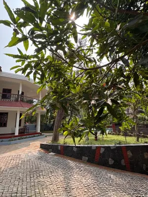 a tree in the middle of a brick road at Souparnika Heritage in Tellicherry