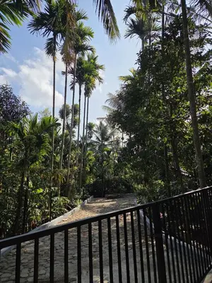 a walkway with palm trees and a fence at Pearl Farmstay in Kushālnagar