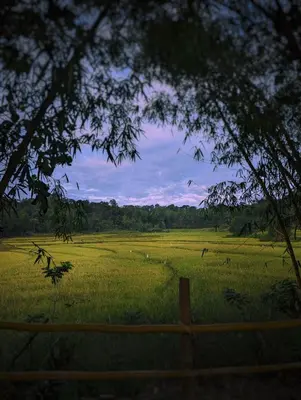 a field of green grass with a fence and kites in the sky at Uravu by LAKOTA in Chekadi