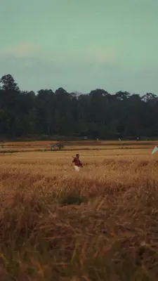 a person sitting in a field with a kite at Uravu by LAKOTA in Chekadi