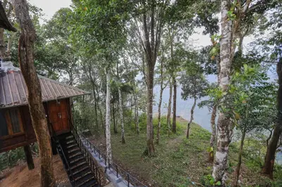 a tree house in the woods with a view at Rippon Mount Resorts in Meppādi