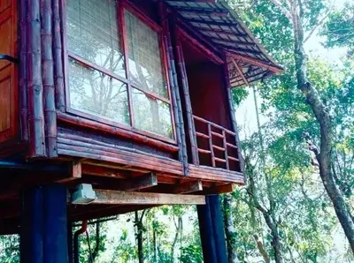 a tree house in the middle of a forest at Rippon Mount Resorts in Meppādi